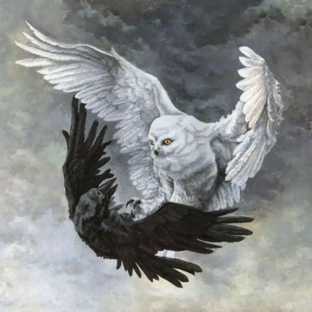 Olimpo Cardenas