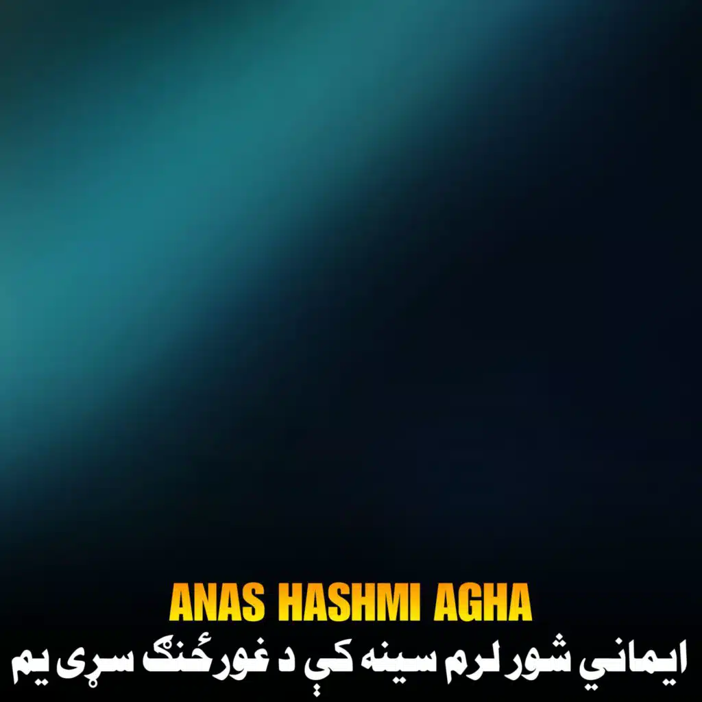 Anas Hashmi Agha
