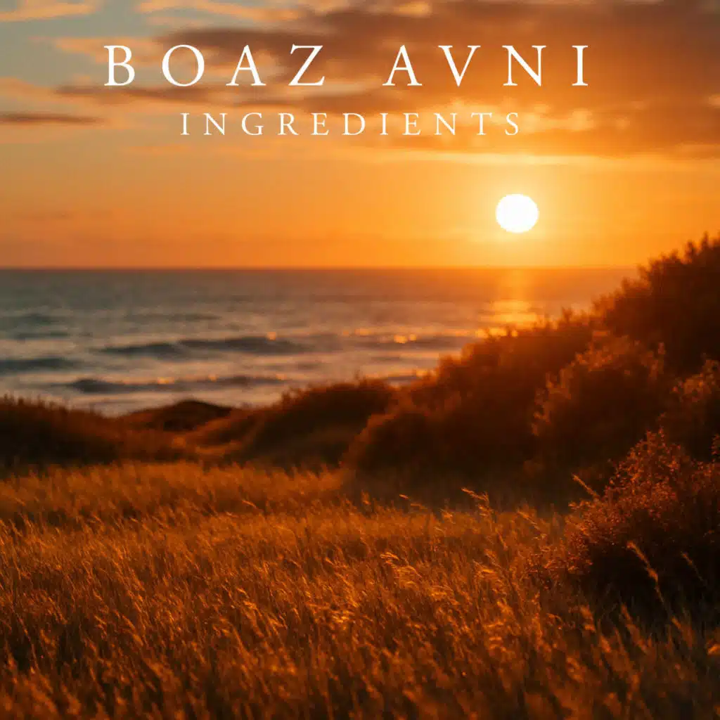 Boaz Avni