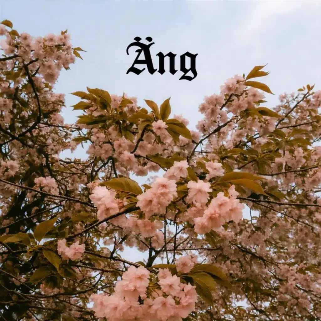 Äng