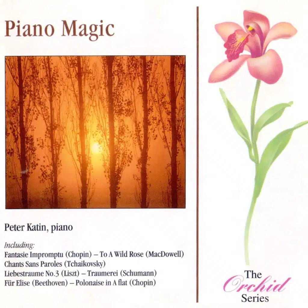 Tchaikovsky: Chants Sans Paroles