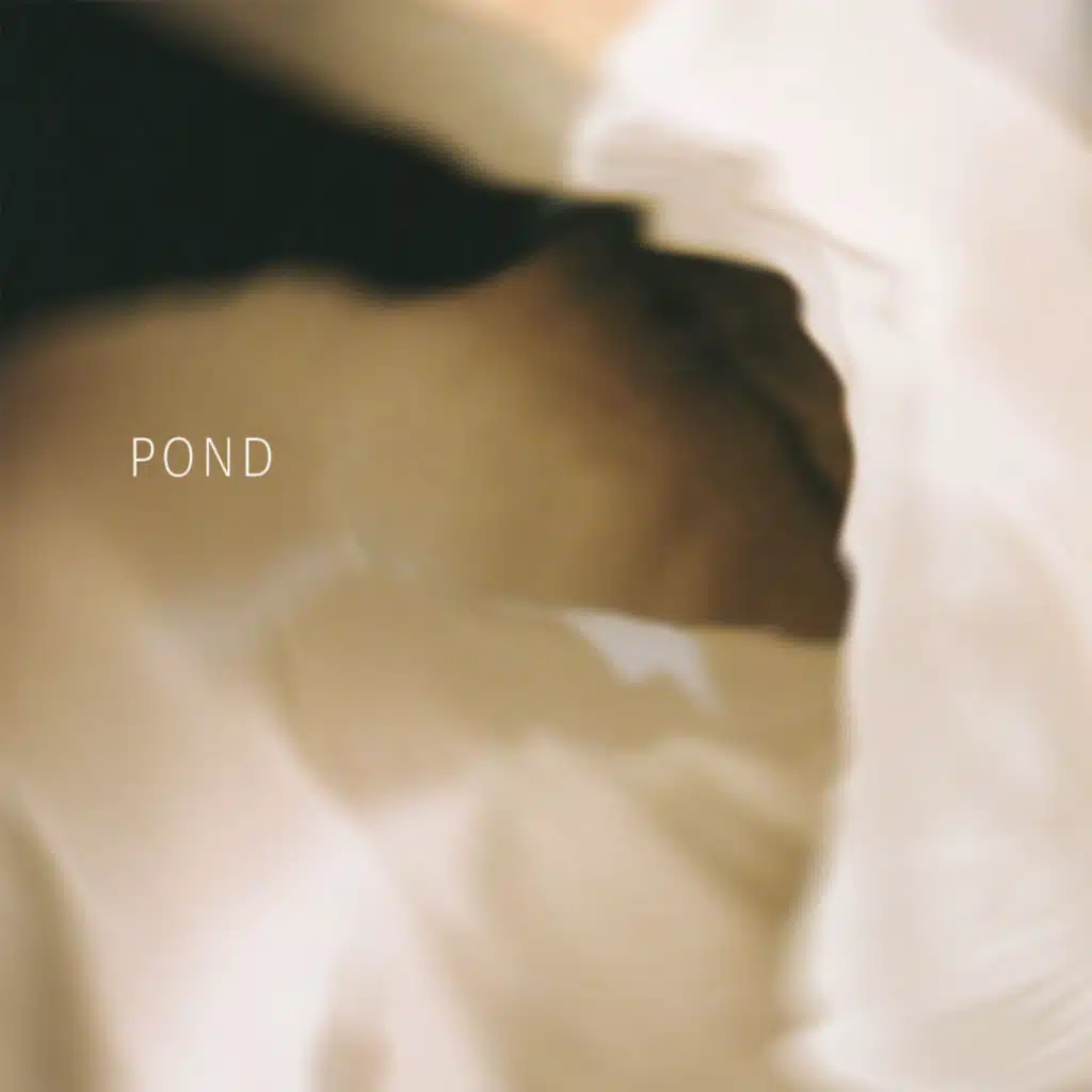 Pond