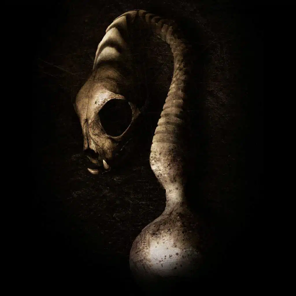 David Meiser & Black Asteroid