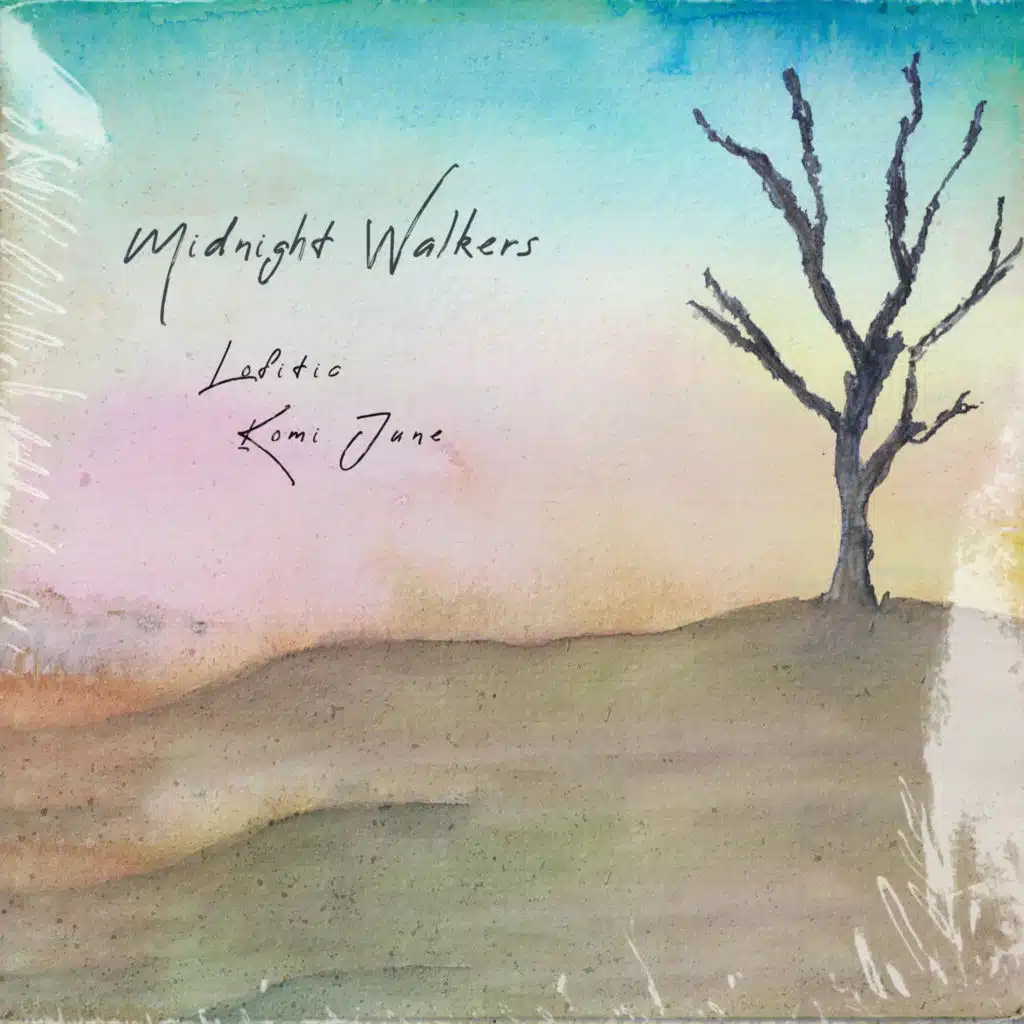 Midnight Walkers