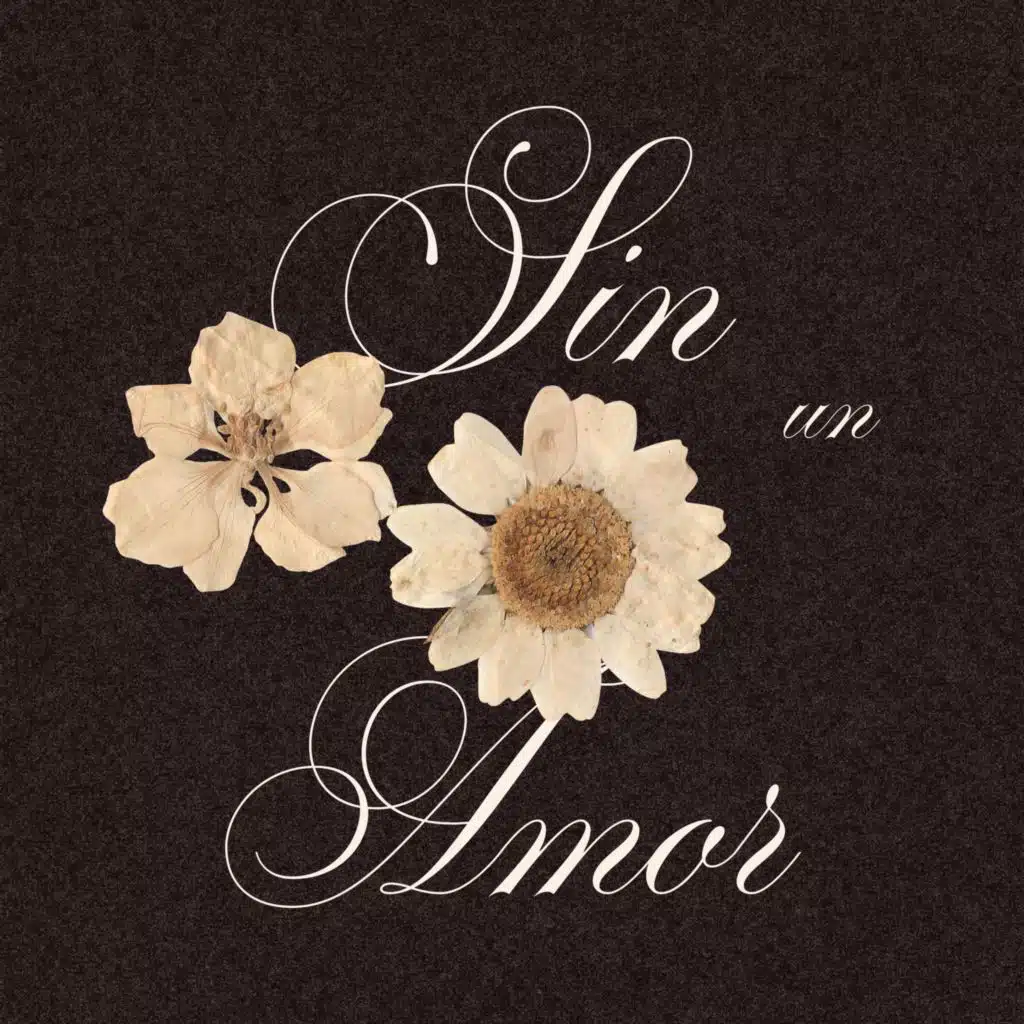 Sin un Amor