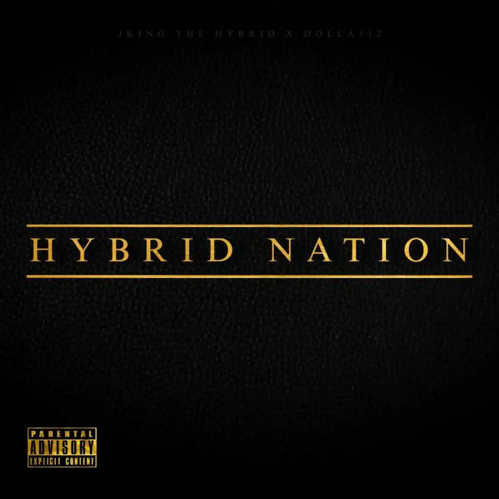 Hybrid Nation