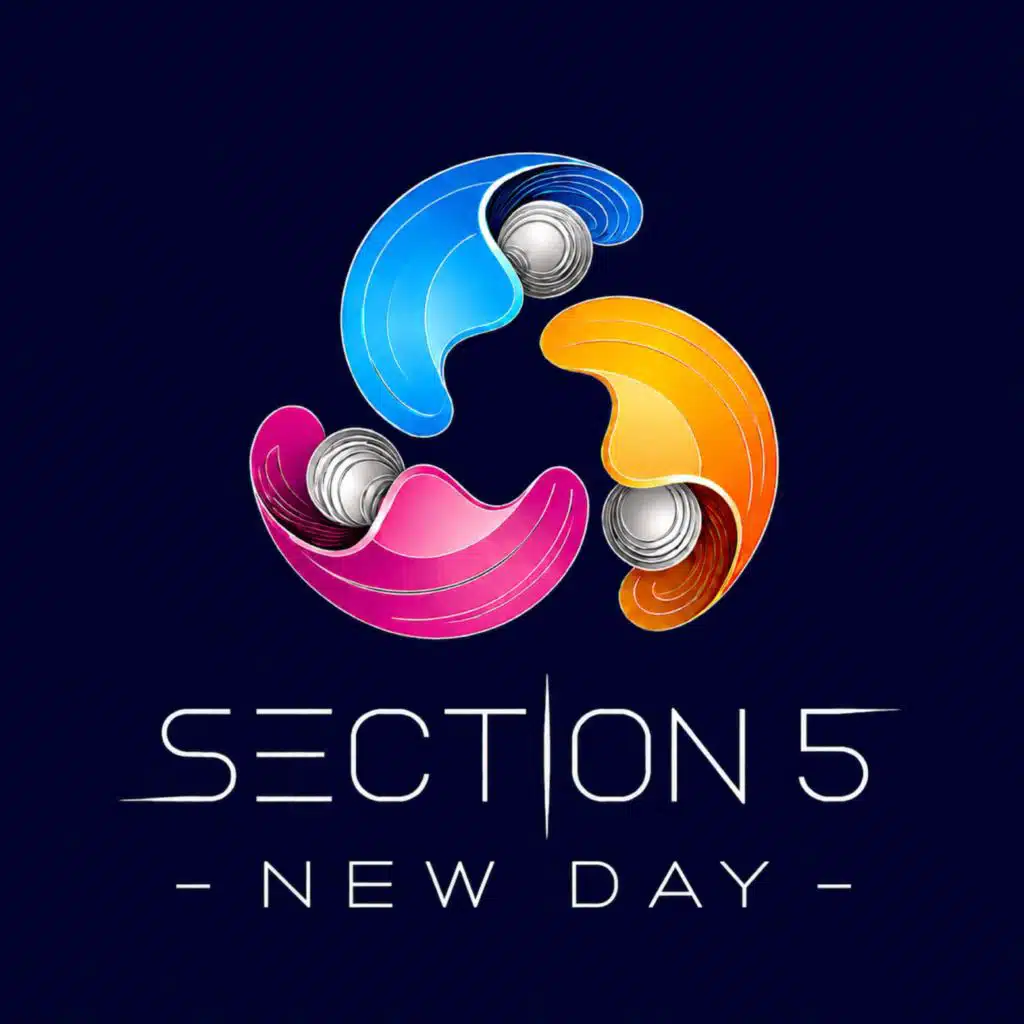 Section 5