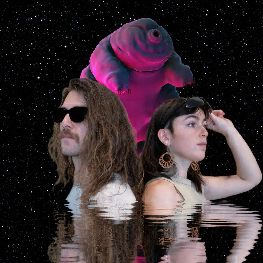Danksy