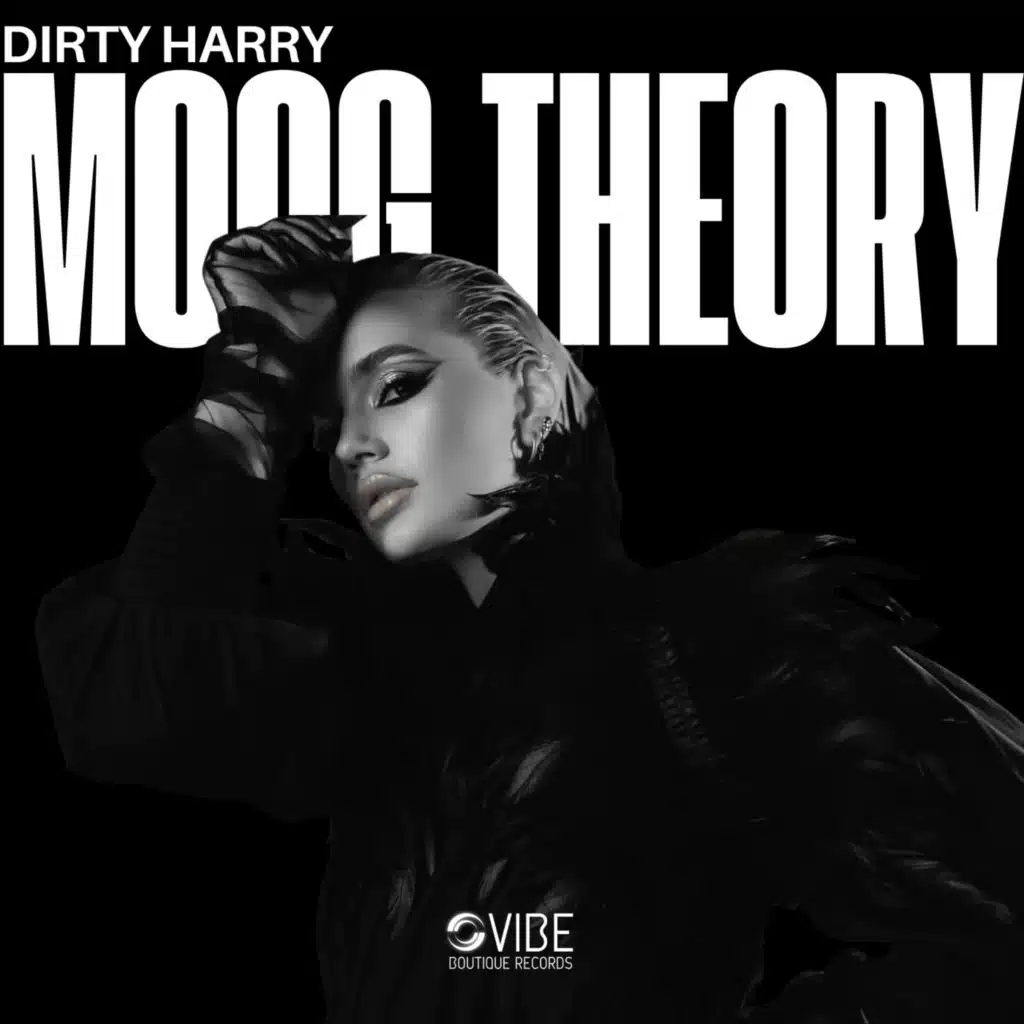 Moog Theory