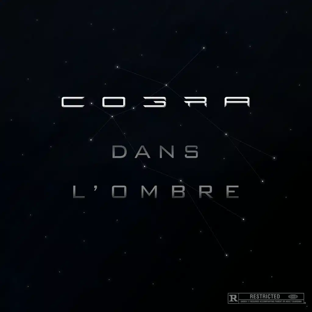 Dans l'ombre