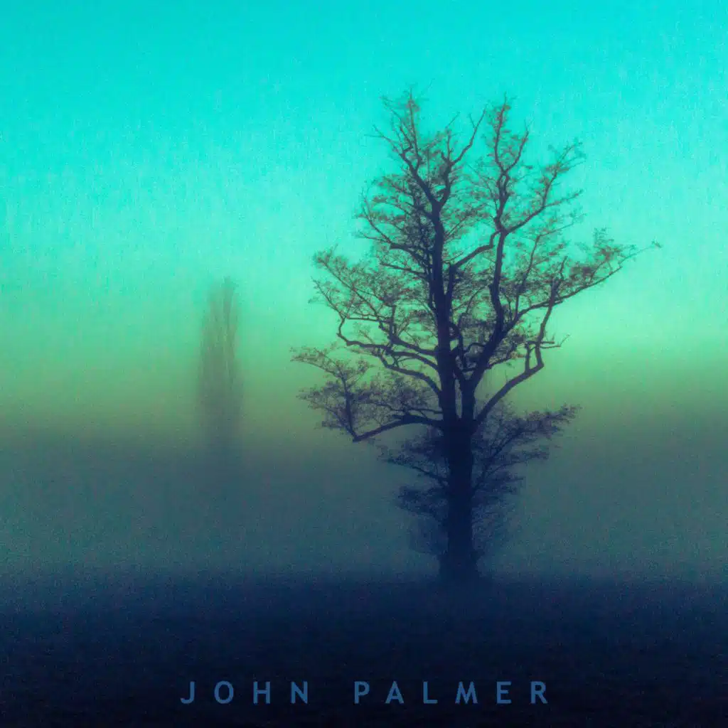 John Palmer