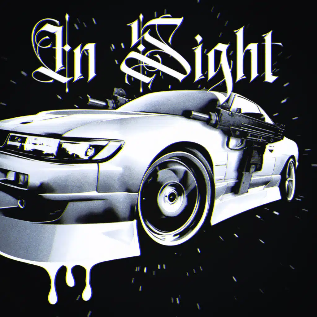 IN SIGHT