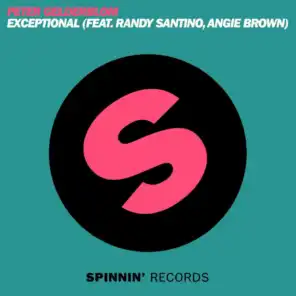 Exceptional (feat. Randy Santino & Angie Brown) [David Amo & Julio Navas Remix]