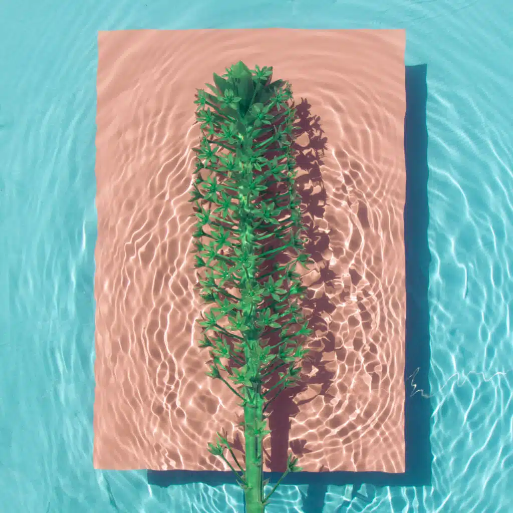 Afternoon (Forteba Remix)