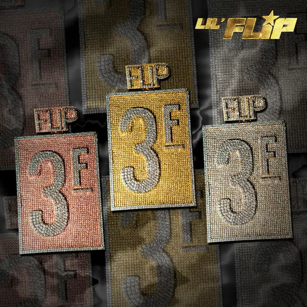 LIL FLIP