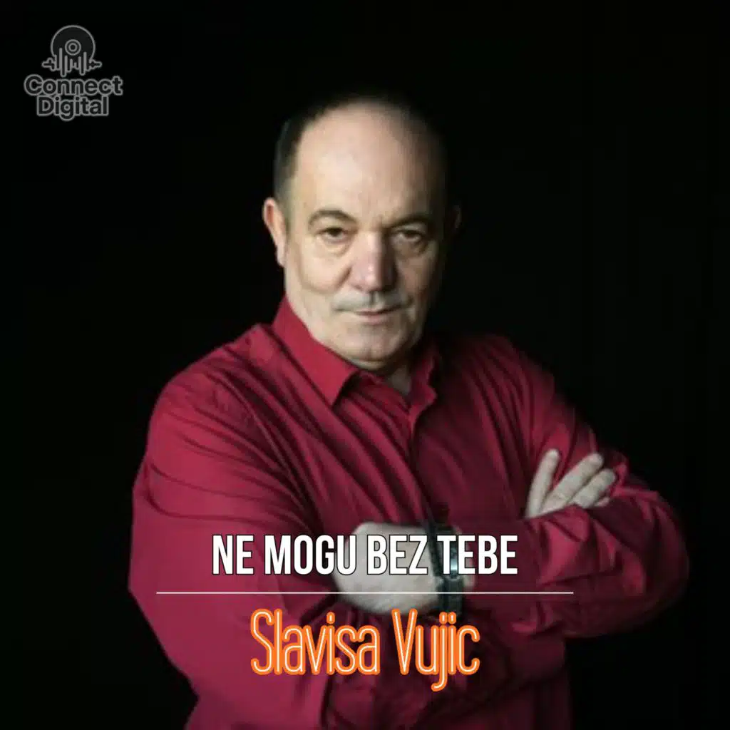 Slavisa Vujic