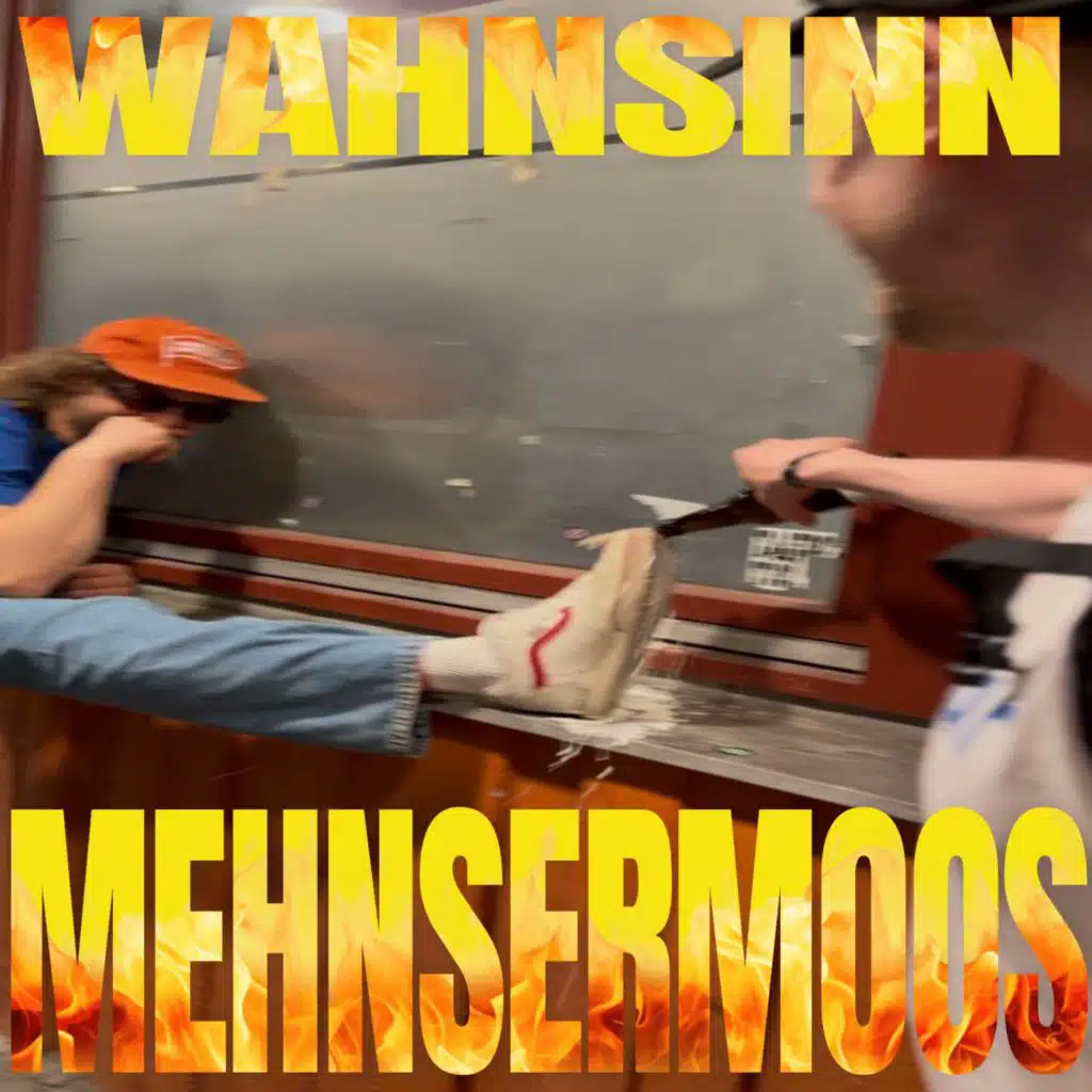 Mehnersmoos