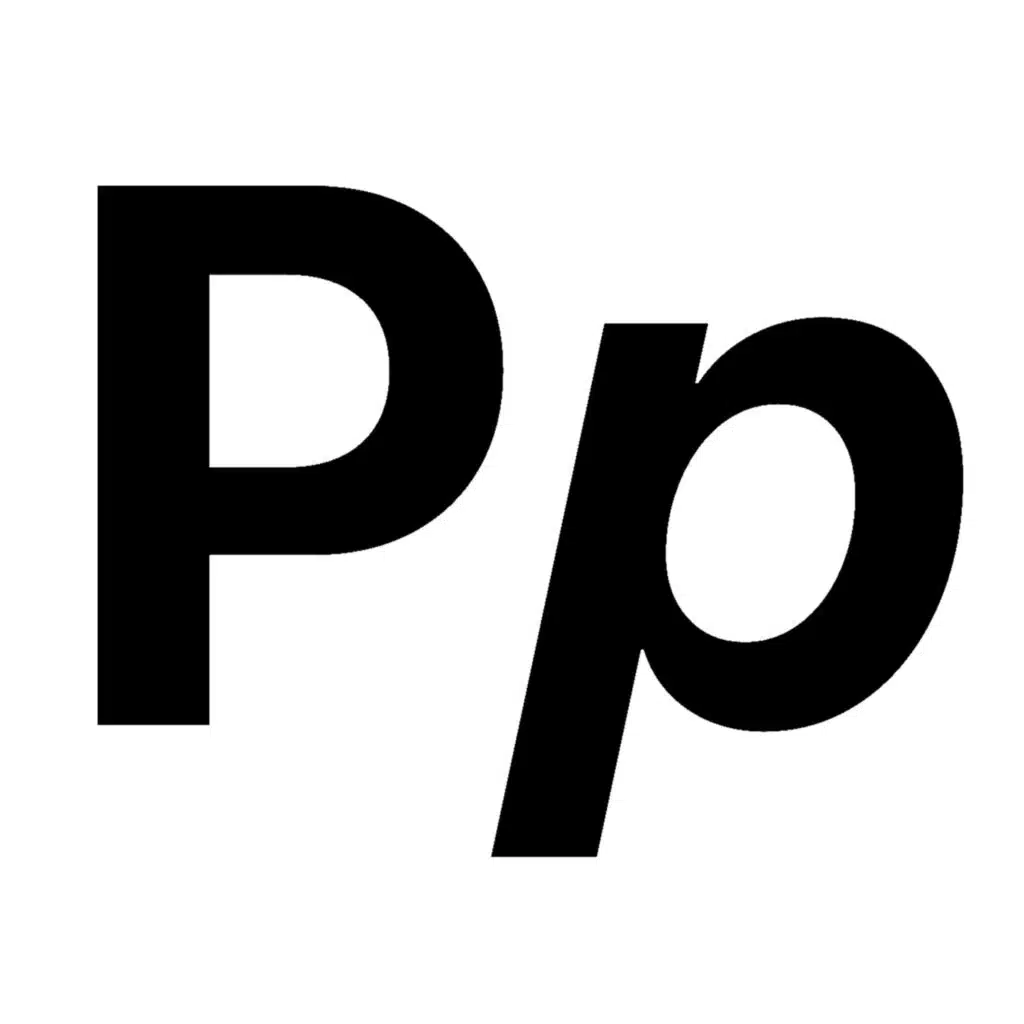 Pp (Project project) - 1