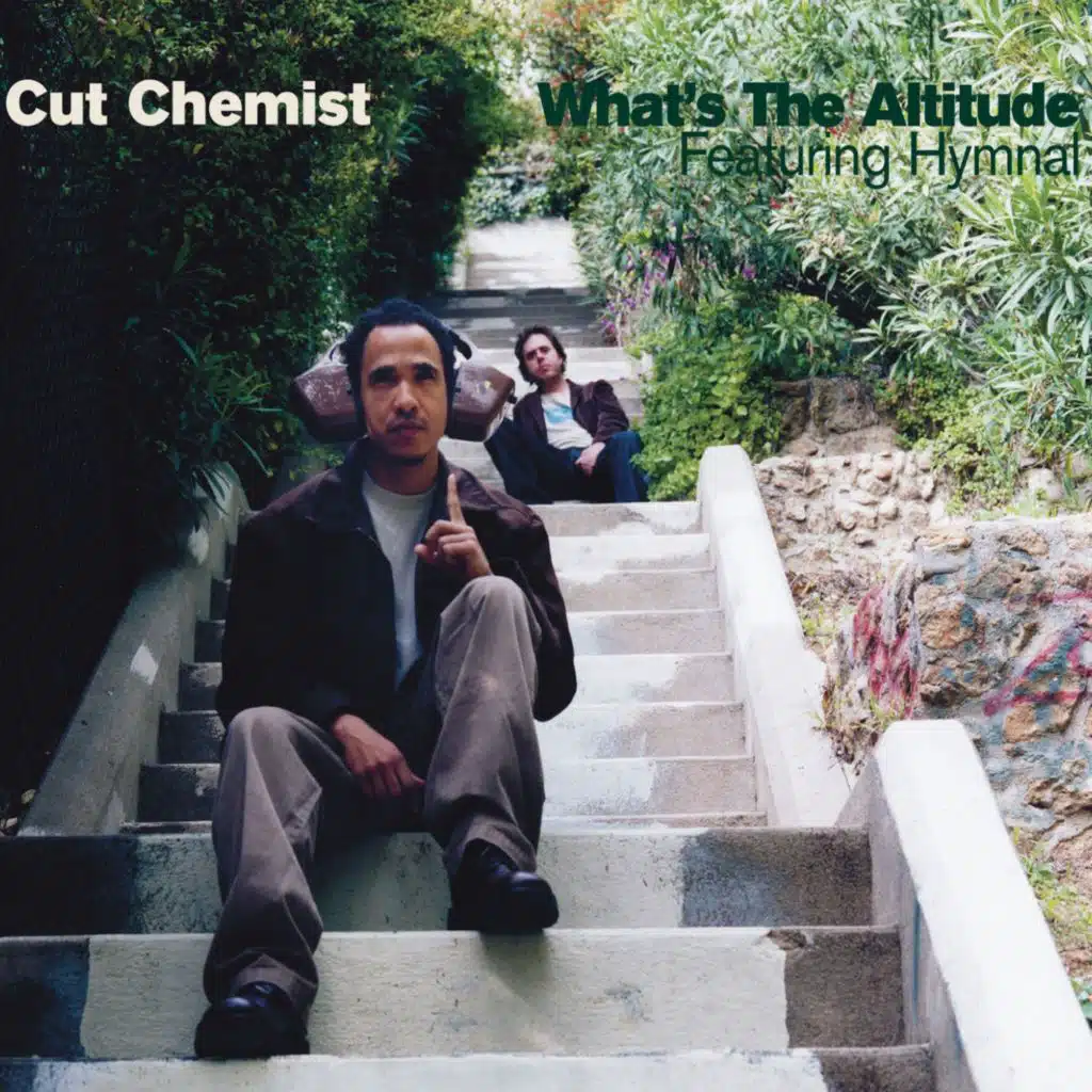 What's The Altitude (feat. Hymnal) (DMD Maxi)