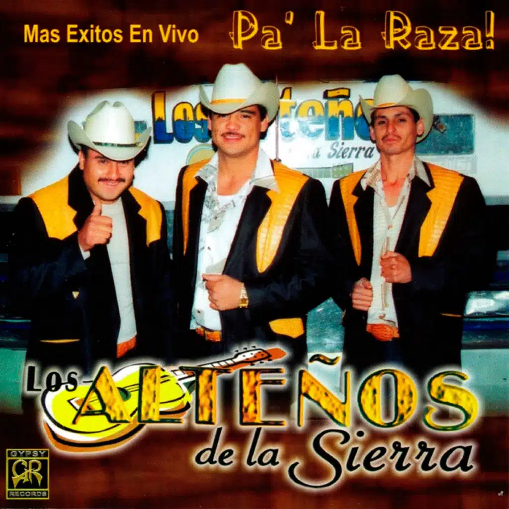 Mas Éxitos En Vivo Pa' La Raza