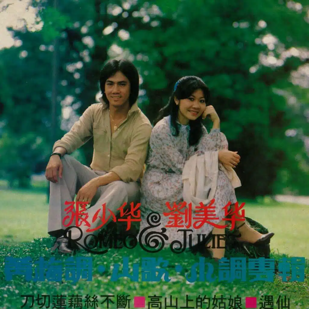 张少华 & 刘美华