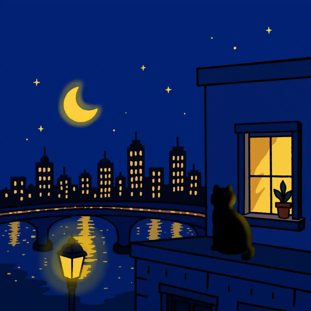 Midnight Window