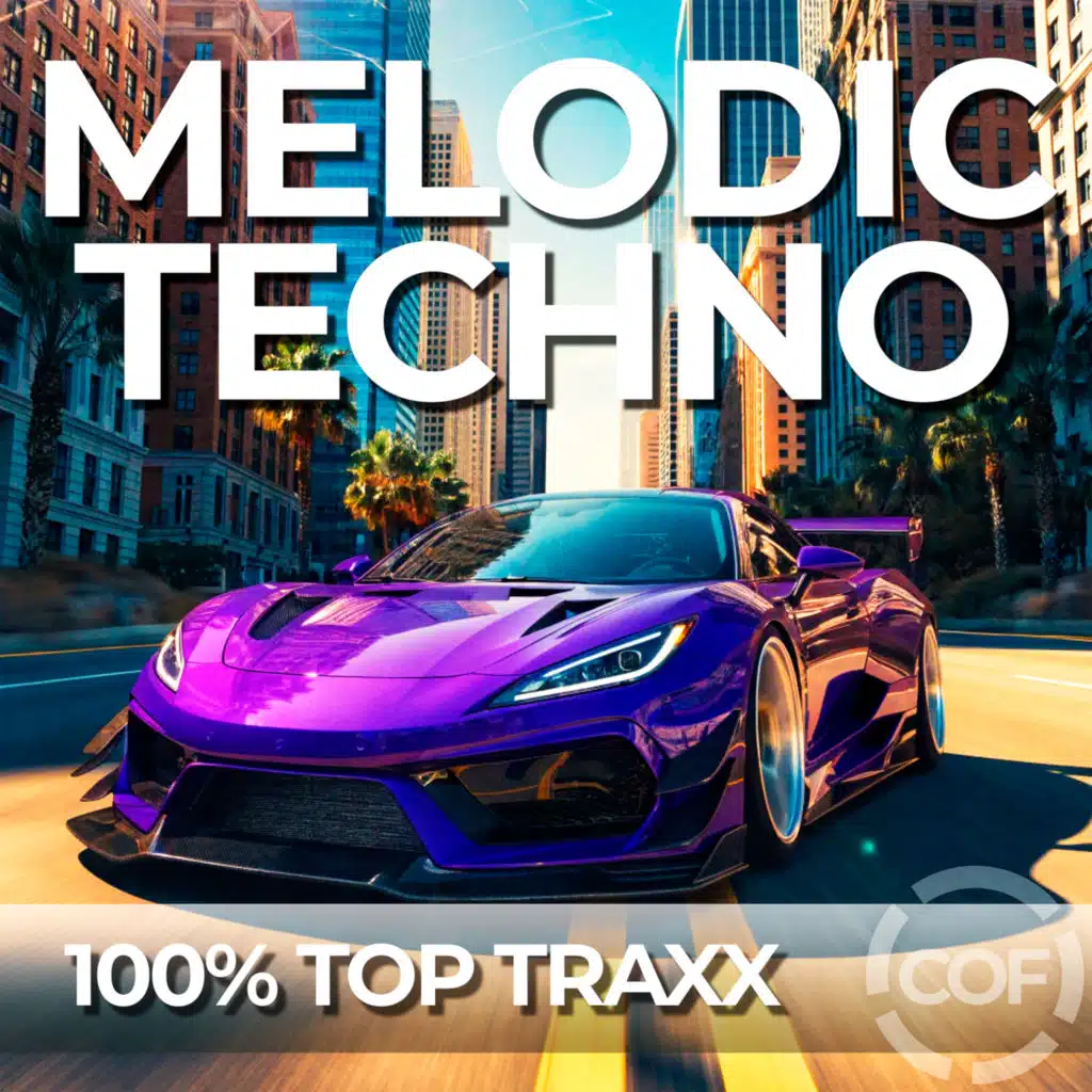 Melodic Techno 04