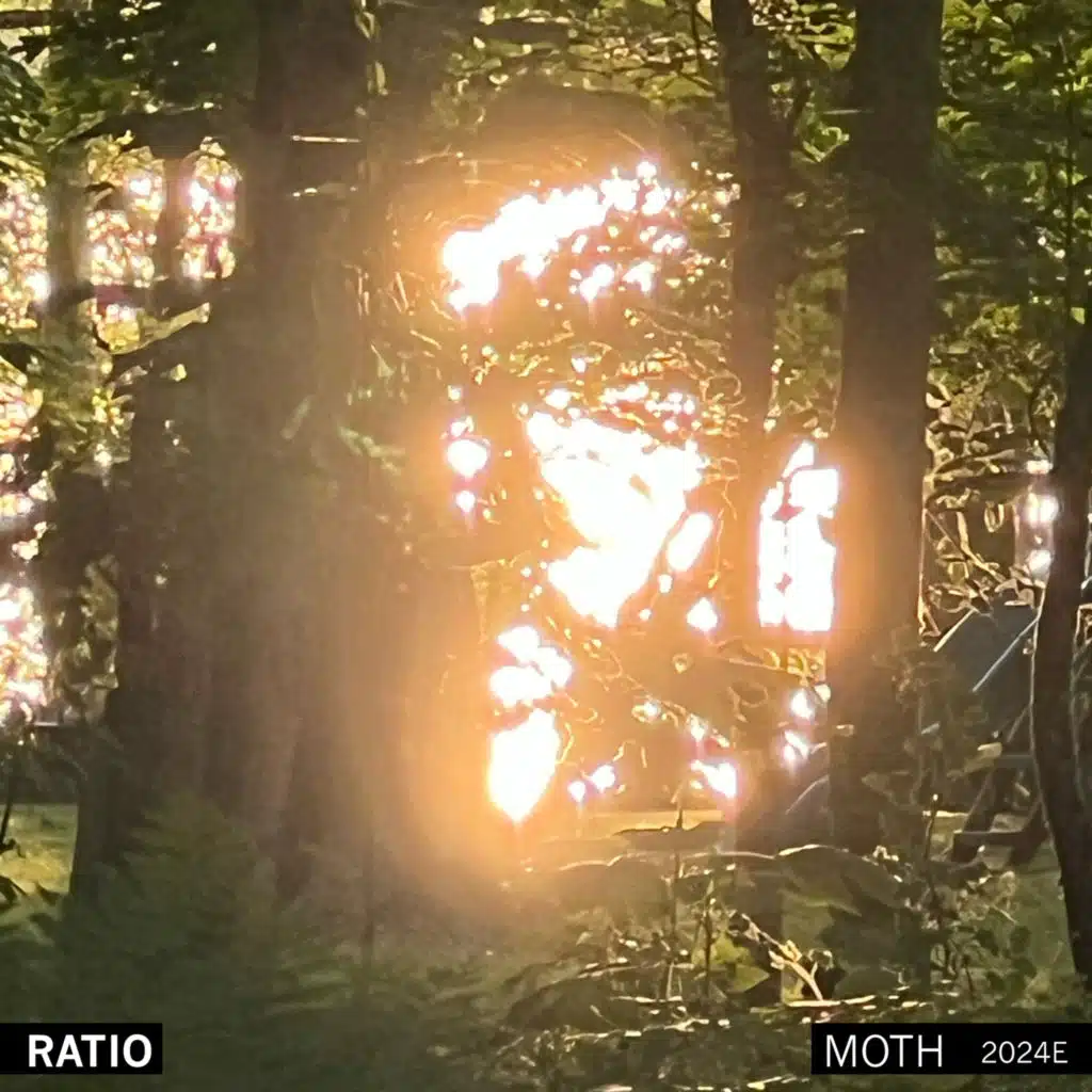 2024E (Moth)