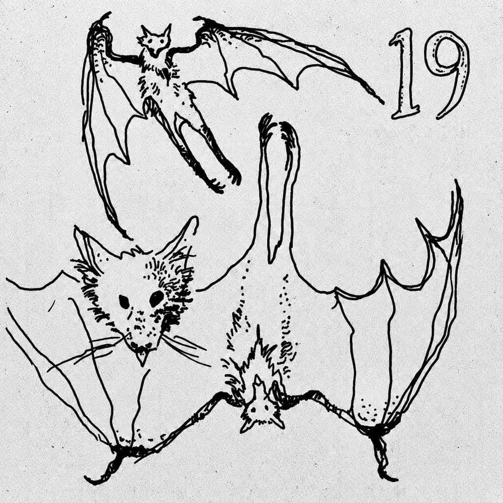 19