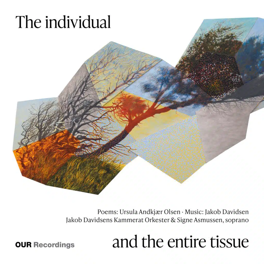 Jakob Davidsen: The Individual and the Entire Tissue