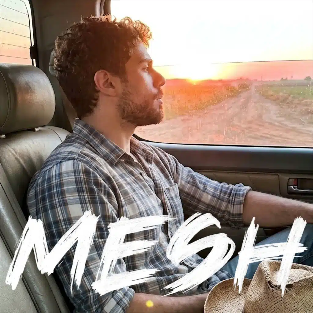 Mesh