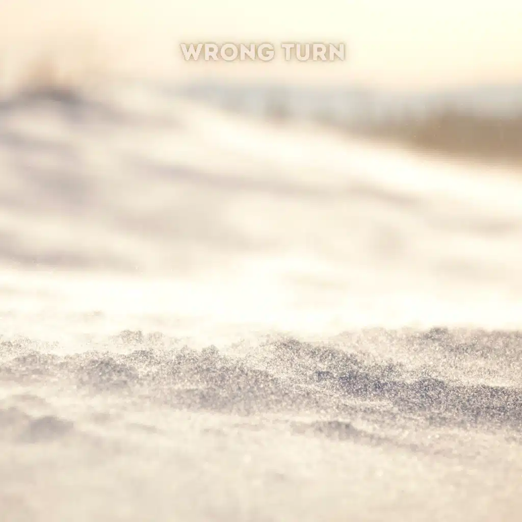 Wrong Way