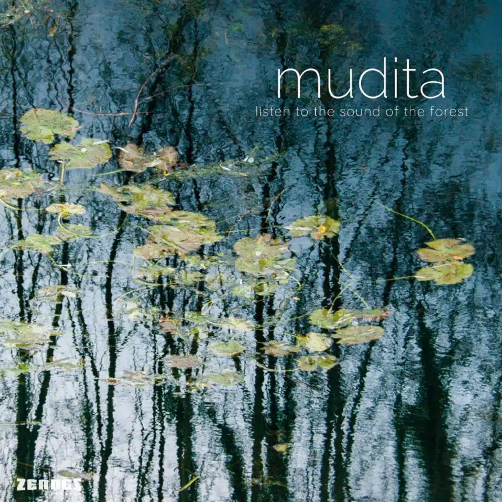 Listen to the Sound of the Forest (feat. Sanne Rambags, Sjoerd van Eijck & Koen Smits)