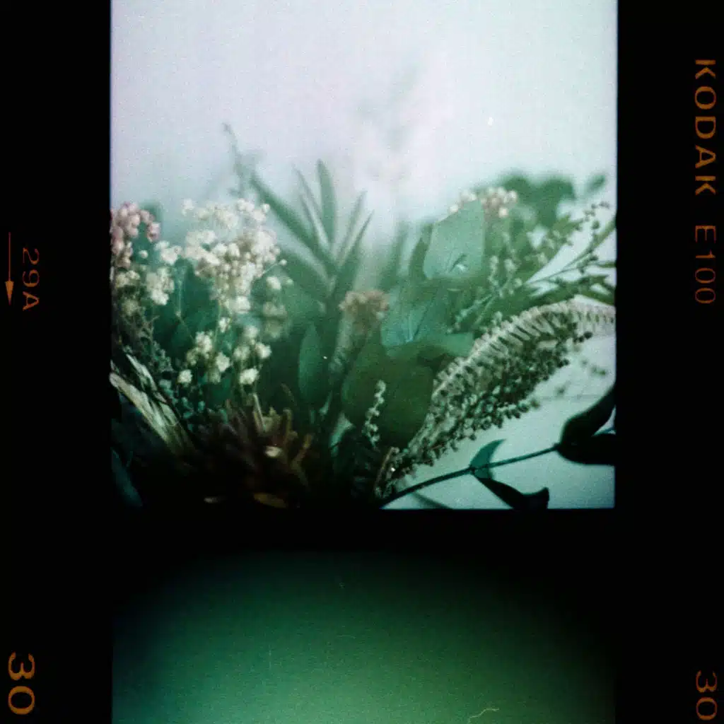 spore / pulse