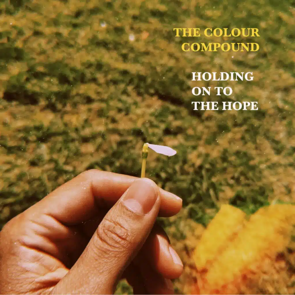 The Colour Compound