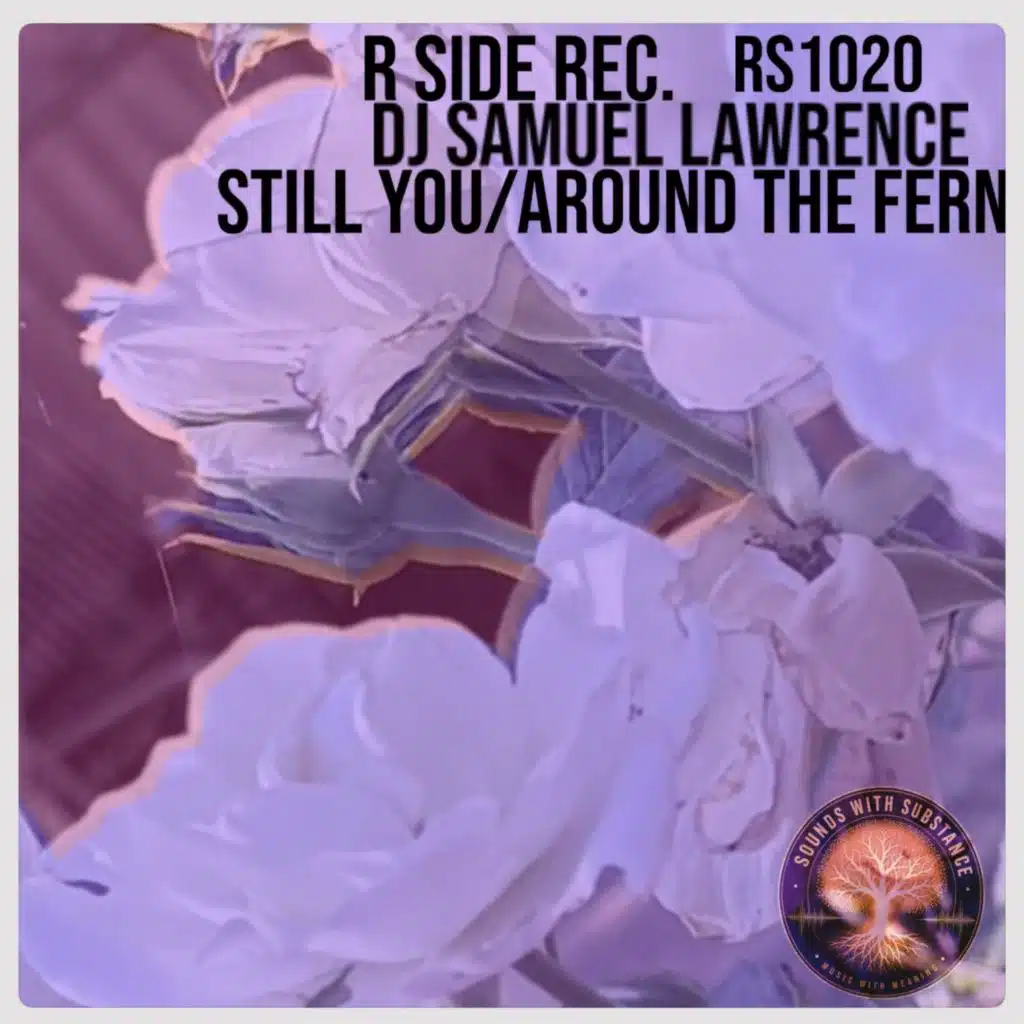 Still You / Around the Fern
