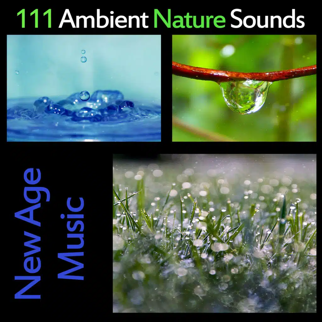 111 Ambient Nature Sounds: New Age Music & Relaxing Zen Tracks Massage