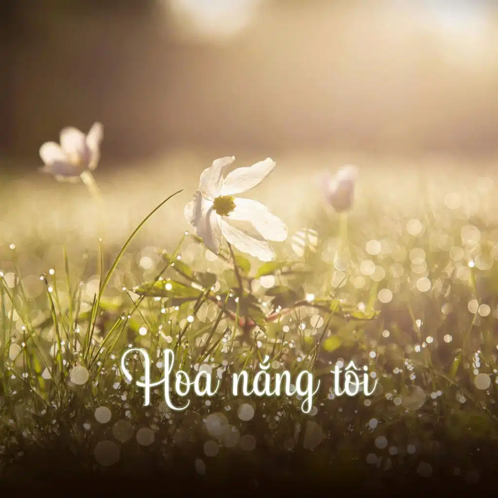 Khi Phải Quên Đi
