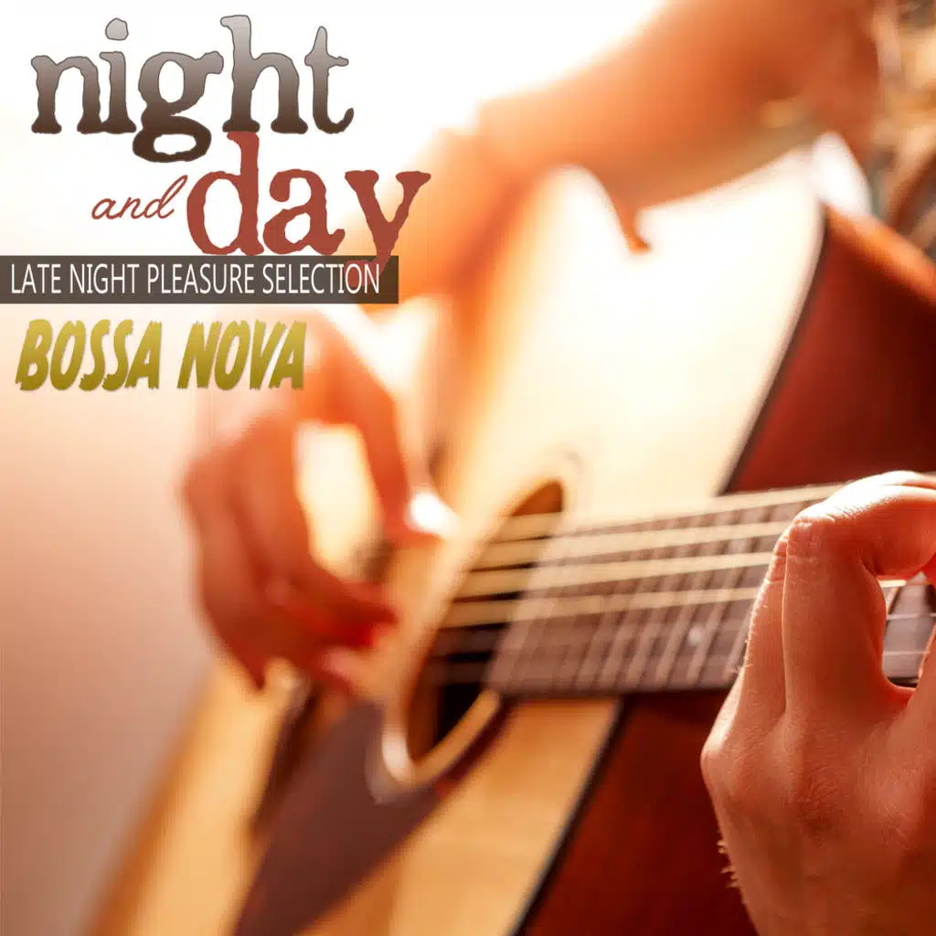 Night and Day: Bossa Nova Late Night Pleasure Selection
