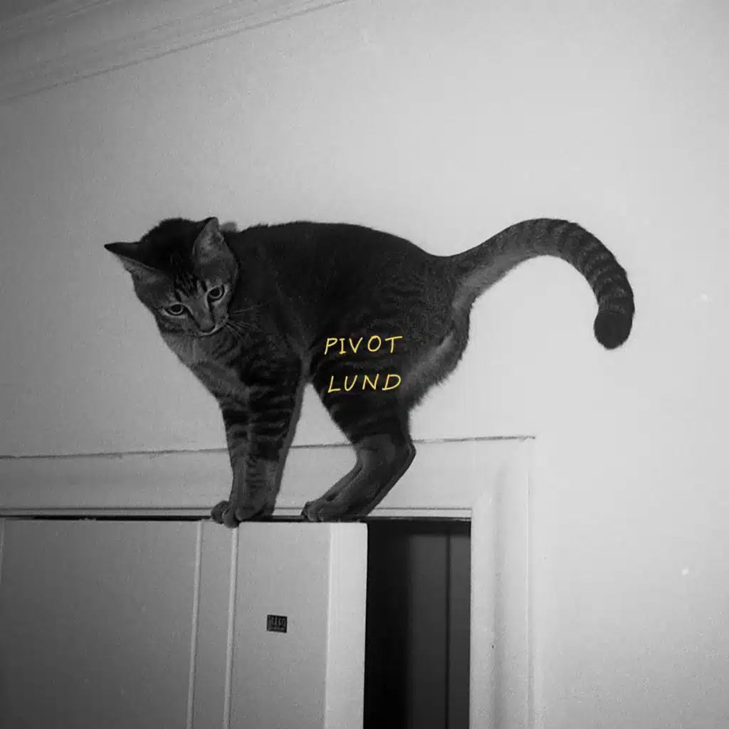 pivot