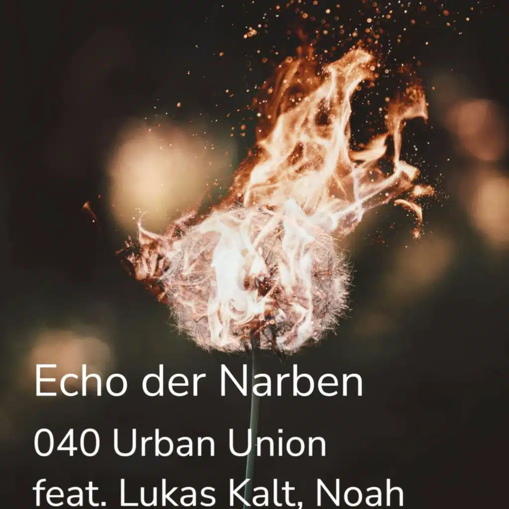 Echo der Narben