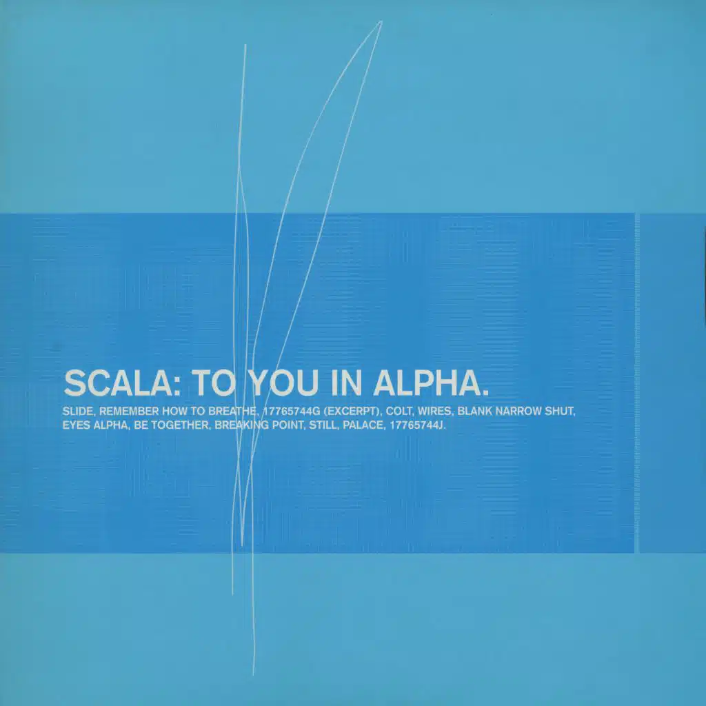 To You in Alpha