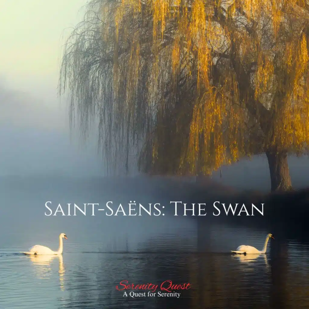 Saint-Saëns: The Swan
