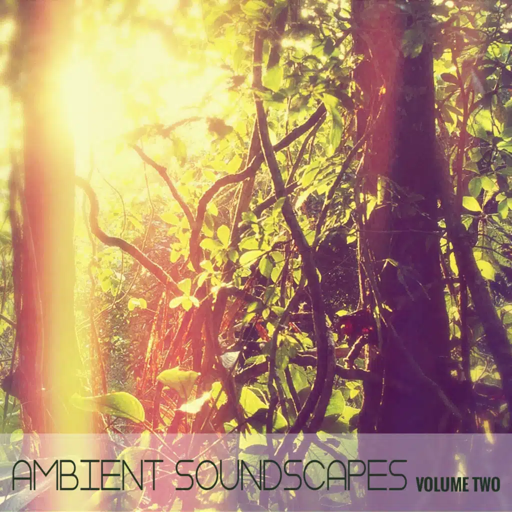 Ambient SoundScapes, Volume 2