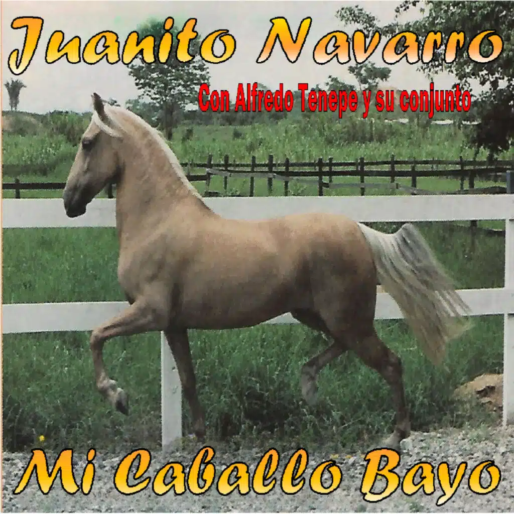Juanito Navarro