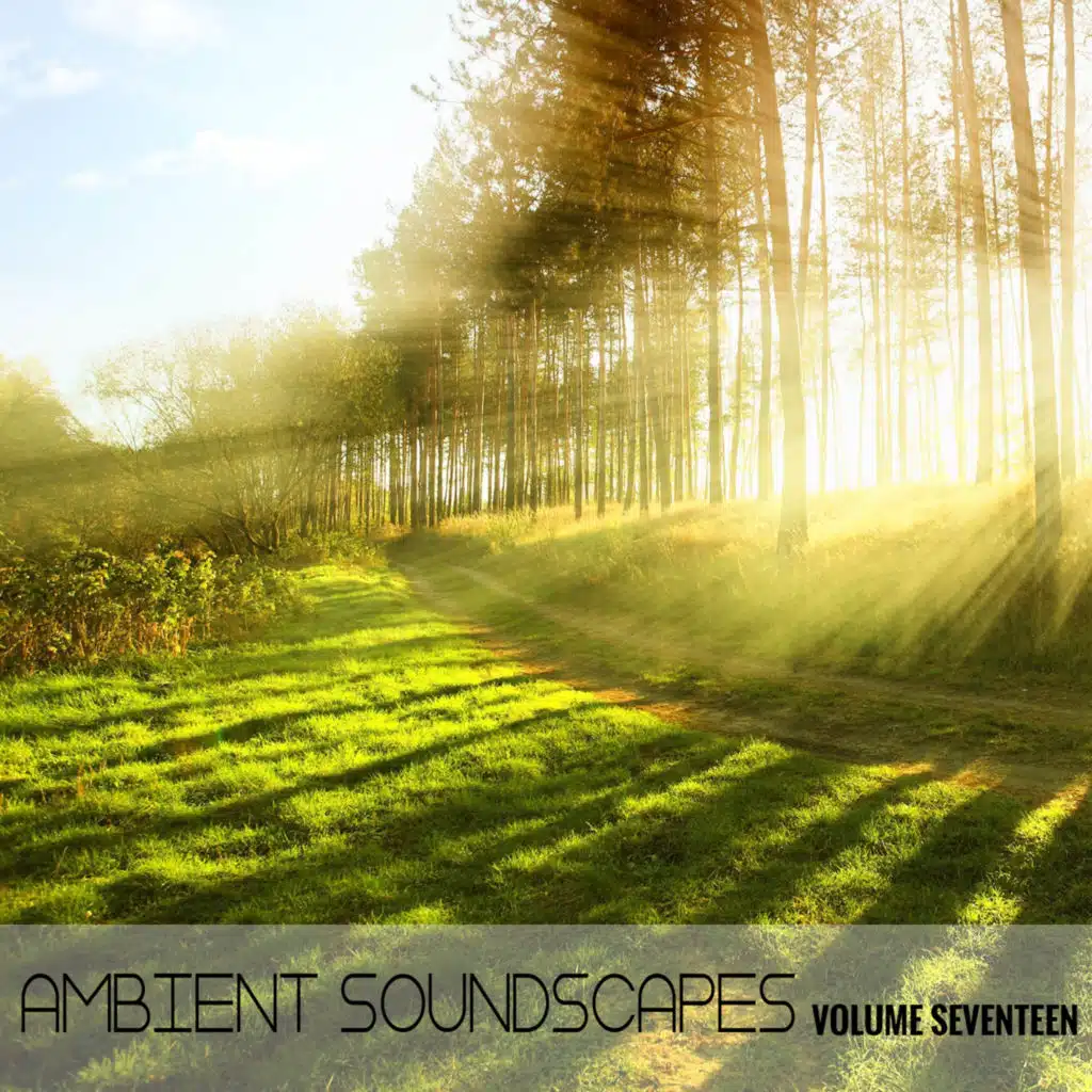Ambient SoundScape, Volume 17