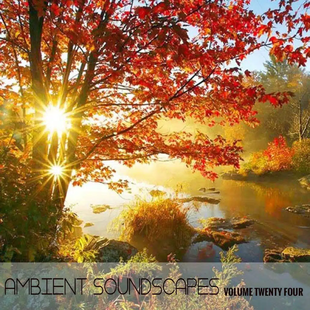 Ambient SoundScape, Volume 24