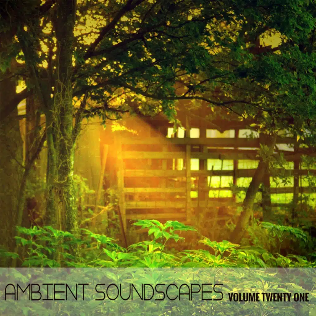 Ambient SoundScape, Volume 21