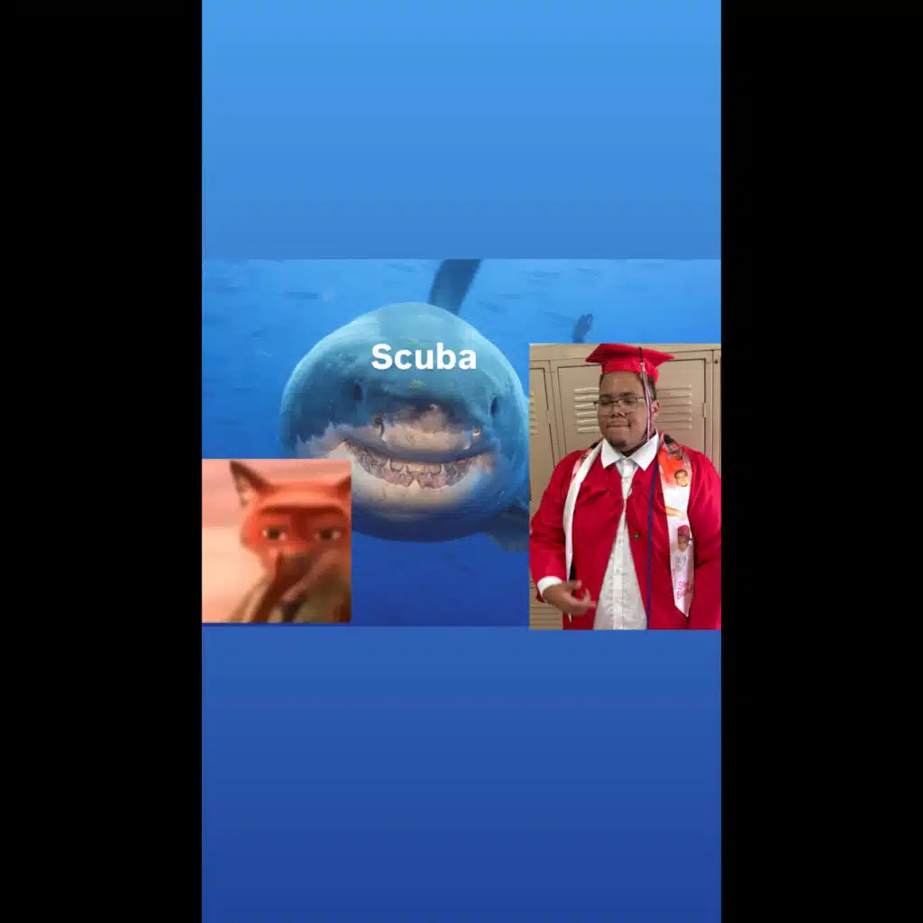 shark attack