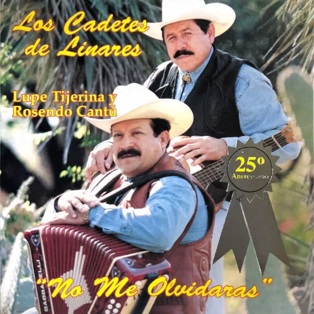 No Me Olvidarás